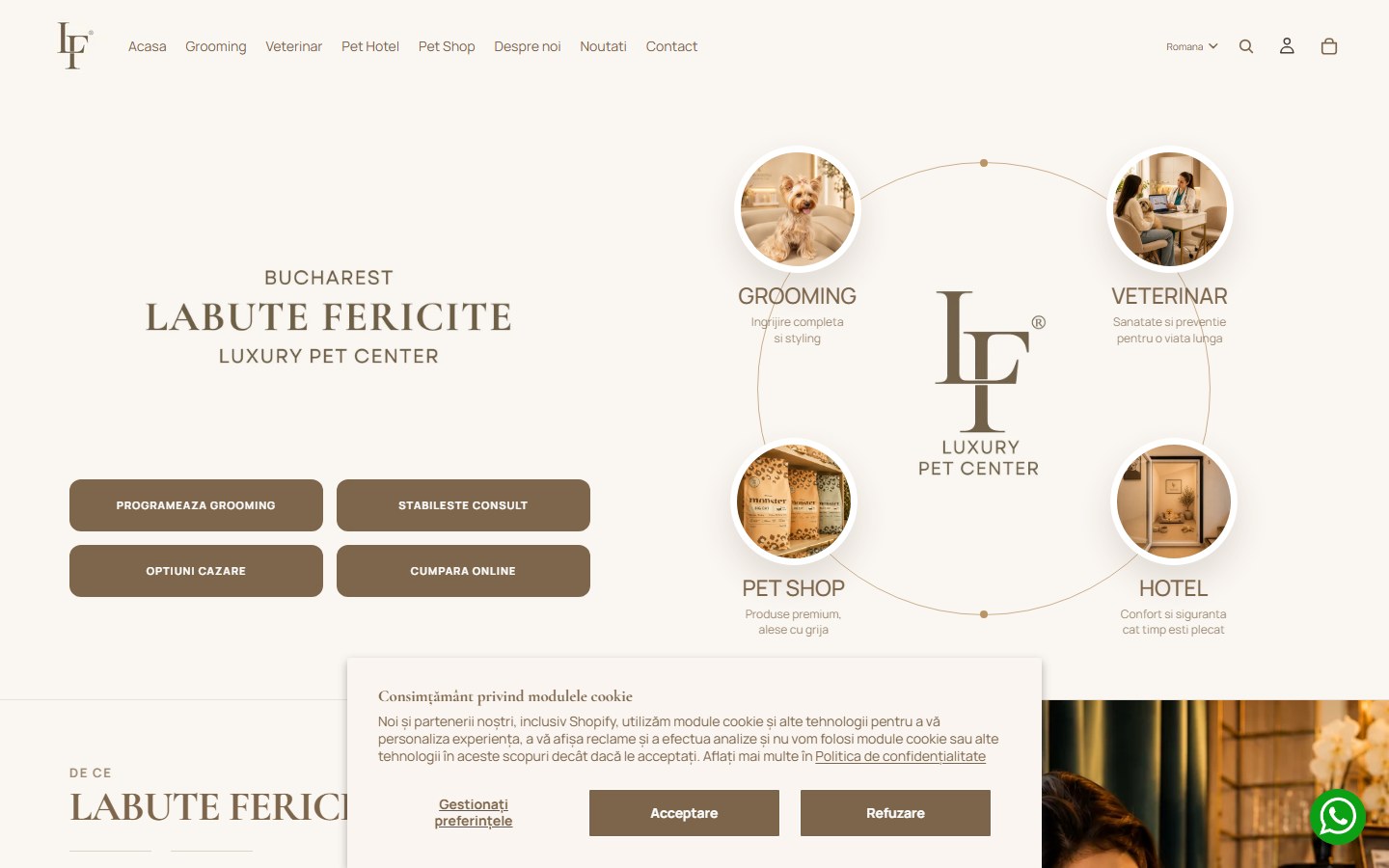 Preview al website-ului Labute Fericite